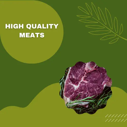 best soup on carnivore diet